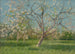 Estudio de árboles en flor en un huerto - Ladislav Mednyánszky — vista de la obra