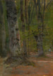 Forest Interior Study - Ladislav Mednyánszky — artwork view