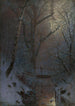 Winter Night Painting - Ladislav Mednyánszky — artwork view