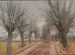 Un camino cerca de Vindern, Zealand - Laurits Andersen Ring — vista de la obra