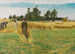Tiempo de cosecha en Ladby - Laurits Andersen Ring — vista de la obra