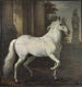 The horse of Charles XI, Brilliant - David Klöcker Ehrenstrahl — artwork view