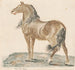 El caballo relinchando - Johann Teyler — vista de la obra
