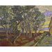 Reproducción del cuadro El jardín del hospital Saint-Paul - Vincent van Gogh