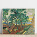 Reproducción del cuadro El jardín del hospital Saint-Paul - Vincent van Gogh