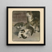 The Book of the Cat pl 2 - Elizabeth Fearne Bonsall — framed artwork on a wall