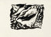 Proyecto para una viñeta, concha y gaviota - Leo Gestel — vista de la obra
