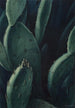 Esmeraldas cactus - Leon Carroll — vista de la obra