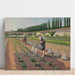 Reproduction of the painting The Gardeners - Gustave Caillebotte