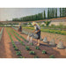 Reproduction of the painting The Gardeners - Gustave Caillebotte