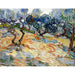 Reproduction of the painting Les Oliviers - Vincent Van Gogh