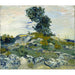 Reproducción del cuadro Los rocas - Vincent van Gogh