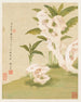 Flores Pl. 06 - Liang Yuwei — vista de la obra