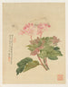 Flores Pl09 - Liang Yuwei — vista de la obra