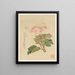 Flores Pl09 - Liang Yuwei — cuadro enmarcado en la pared