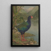 Sin título Takahe - Lily Attey Daff — cuadro enmarcado en la pared