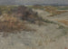 Las Dunas - Lindley Hosford — vista de la obra