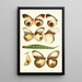 Novitates zoologicae pl 1 - Lionel Walter Rothschild — framed artwork on a wall