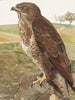 Buse - Léon-Paul Robert — artwork view