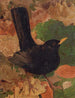 Mirlo negro - Léon-Paul Robert — vista de la obra
