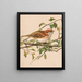 Moineau friquet - Léon-Paul Robert — cuadro enmarcado en la pared
