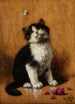 Kitten with Butterfly - Léon Huber — artwork view