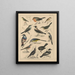 Illustrations for the General Natural History of Oken for all classes Pl041 - Lorenz Oken — framed artwork on a wall