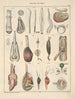 ilustraciones para la historia natural general de Oken para todas las clases Pl065 - Lorenz Oken — vista de la obra