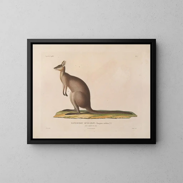 Viaje alrededor del mundo - Louis-Isidore Duperrey — cuadro enmarcado en la pared