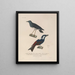 Voyage around the World Pl122 - Louis-Isidore Duperrey — framed artwork on a wall