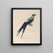 Voyage autour du monde Pl126 - Louis-Isidore Duperrey — framed artwork on a wall