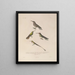Voyage autour du monde Pl135 - Louis-Isidore Duperrey — framed artwork on a wall