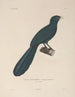 Voyage autour du monde Pl138 - Louis-Isidore Duperrey — artwork view