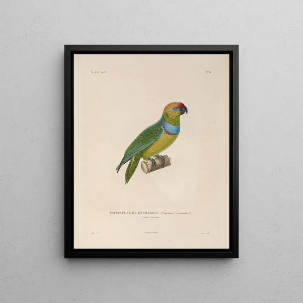 LouisIsidore Duperrey - Voyage autour du monde Pl140.webp