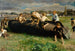 Los plagas - Louis-Joseph Anthonissen — vista de la obra