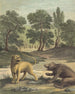 The Lioness and The Bear - Louis-Simon Lempereur — artwork view