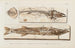 Recherches sur les poissons fossiles Pl023 - Louis Agassiz — artwork view