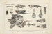 Investigaciones sobre los peces fósiles Pl101 - Louis Agassiz — vista de la obra