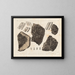 Recherches sur les poissons fossiles - Louis Agassiz — framed artwork on a wall