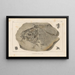 Recherches sur les poissons fossiles Pl172 - Louis Agassiz — framed artwork on a wall