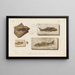 Investigaciones sobre los peces fósiles Pl189 - Louis Agassiz — cuadro enmarcado en la pared