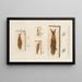 Investigaciones sobre los peces fósiles Pl195 - Louis Agassiz — cuadro enmarcado en la pared