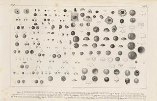 Louis Agassiz - Recherches sur les poissons fossiles Pl250.webp