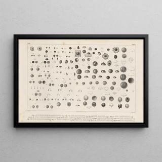 Louis Agassiz - Recherches sur les poissons fossiles Pl250.webp