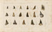 Investigaciones sobre los peces fósiles Pl317 - Louis Agassiz — vista de la obra