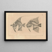 Recherches sur les poissons fossiles Pl342 - Louis Agassiz — framed artwork on a wall