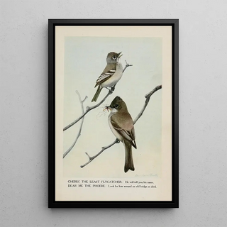 Louis Agassiz Fuertes - Chebec the Least Flycatcher Dear Me the Phoebe.webp