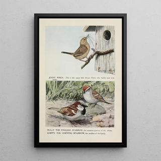 Louis Agassiz Fuertes - Jenny Wren Bully the English Sparrow Chippy the Chipping Sparrow.webp
