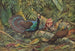 Faisán pavo real de Palawan - Louis Agassiz Fuertes — vista de la obra