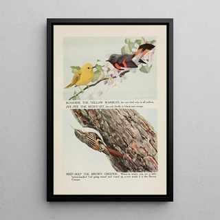 Louis Agassiz Fuertes - Sunshine the Yellow Warbler ZeeZee the Redstart SeepSeep the Brown Creeper.webp